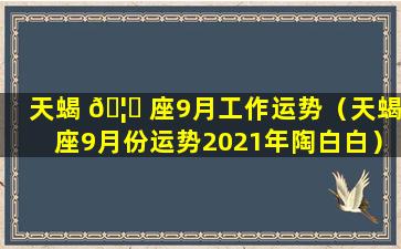 天蝎 🦍 座9月工作运势（天蝎座9月份运势2021年陶白白）